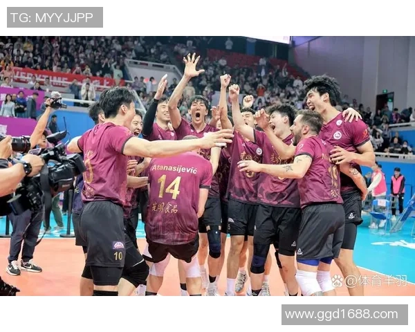 河南男排与上海男排激战正酣谁将赢得这场关键对决的胜利