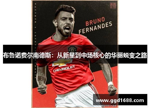 布鲁诺费尔南德斯：从新星到中场核心的华丽蜕变之路