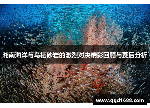 湘南海洋与鸟栖砂岩的激烈对决精彩回顾与赛后分析